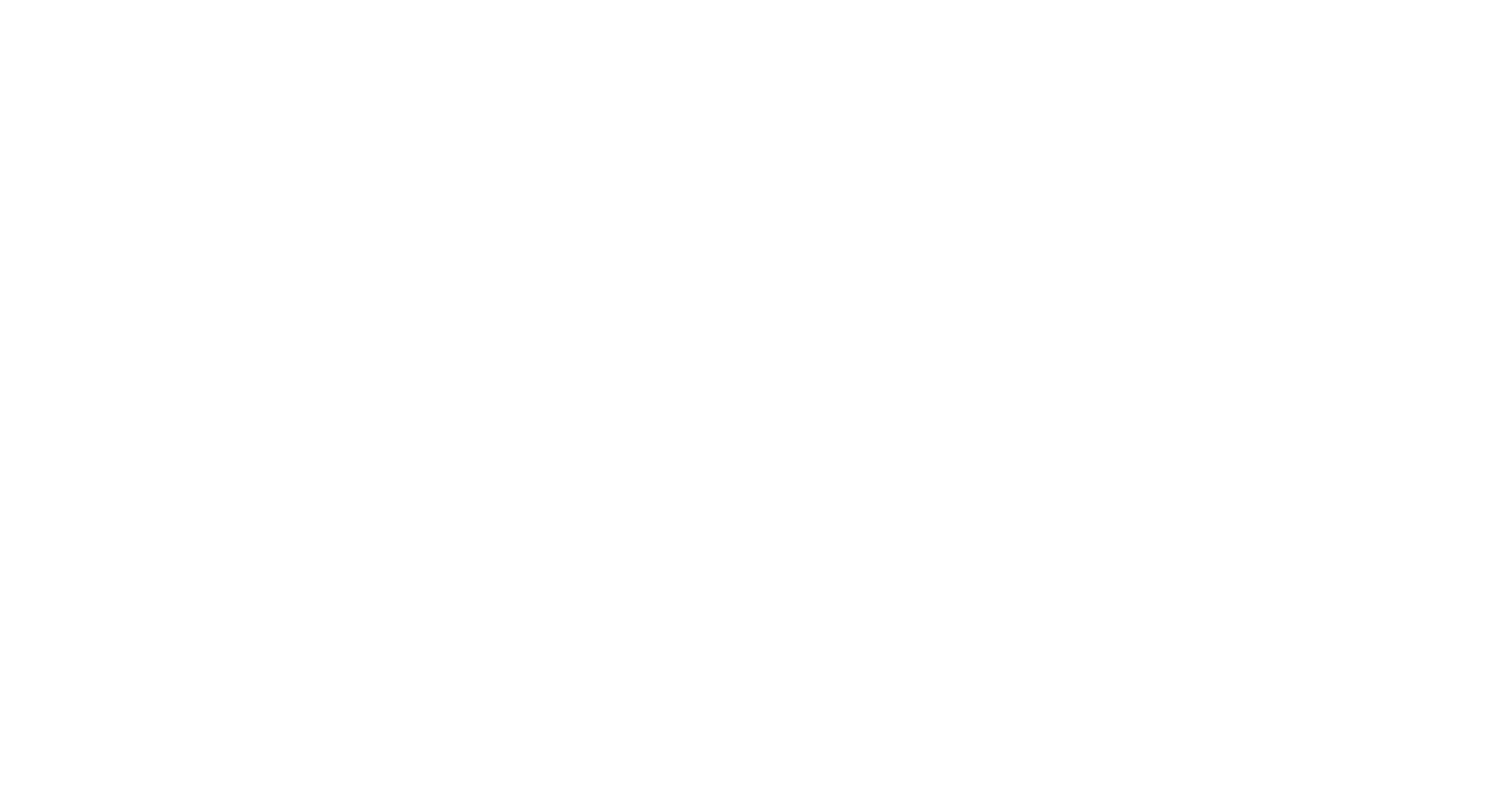volandoboy logo